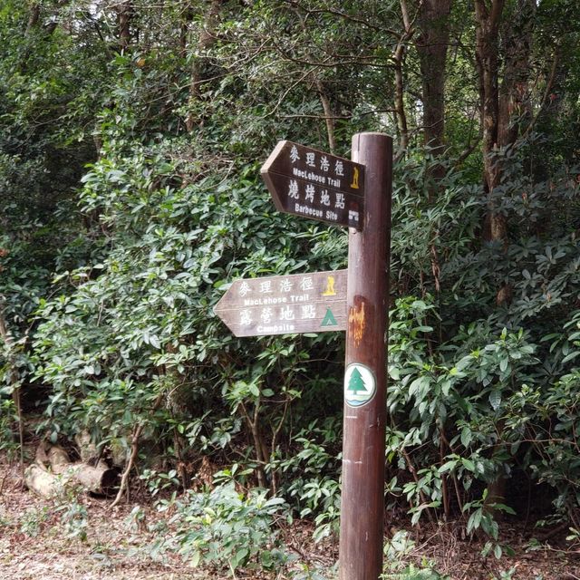 麥理浩徑第4段