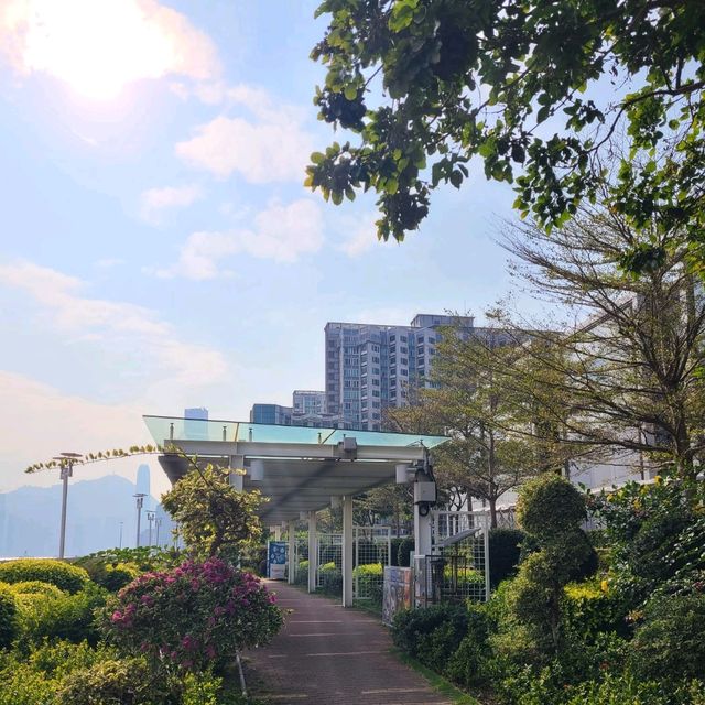 紅磡海濱長廊~散步好去處