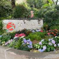 春回大地 - 賞花的好時節