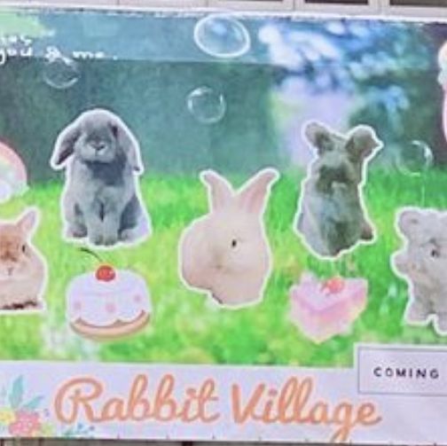 香港🇭🇰首間兔兔Cafe🐰