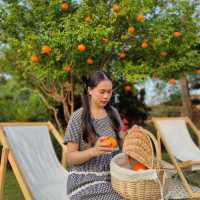 Montreux Cafe’ And Farm นครนายก