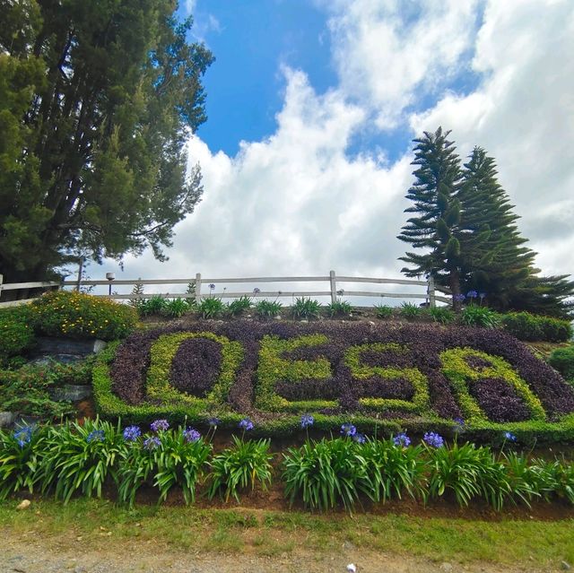 The joyful Desa Dairy Farm!