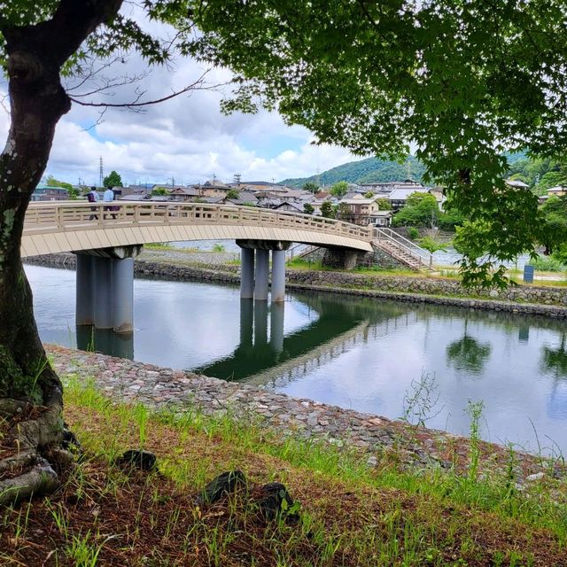 京都二日遊