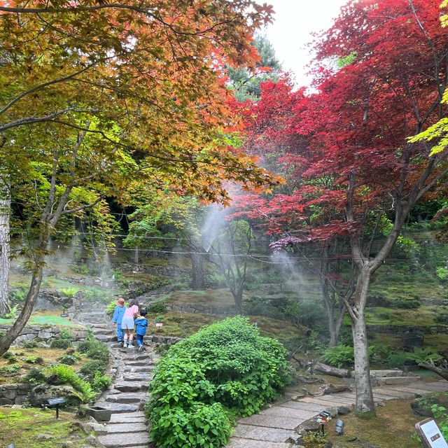 초록 초록 서울근교 힐링공간💚 화담숲🌿