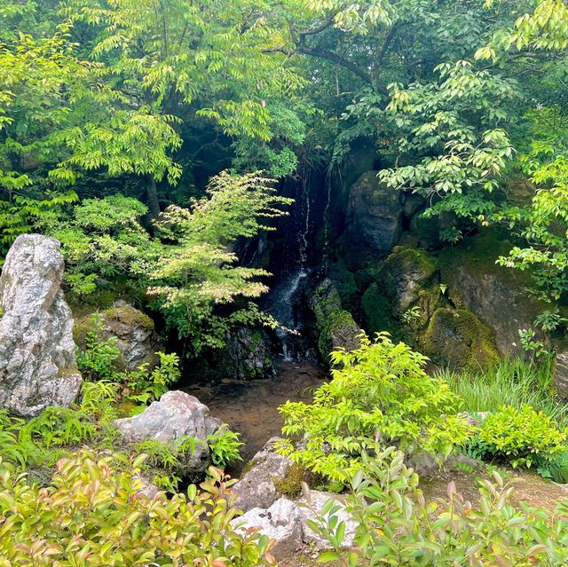 ตะลุย วัดคินคะคุจิ (Kinkakuji Temple) ที่ญี่ปุ่น