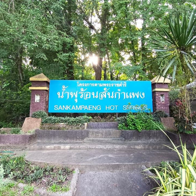 “วิจิตร@เชียงใหม่ สีสันแห่งเส้นแสง📍