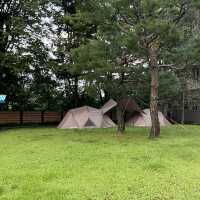 캠핑 장비 없이 캠핑 하는 방법! 스노우피크 카페 앤 다이닝에서~ 🏕️