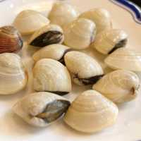 【緣味小聚】是吃海鮮放題之首撰! 足三小時任叫任食,正!