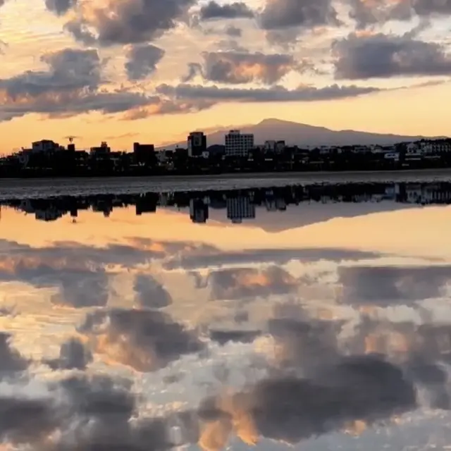 🌅 아름다운 노을 바다, 표선 해비치 해변 서귀포