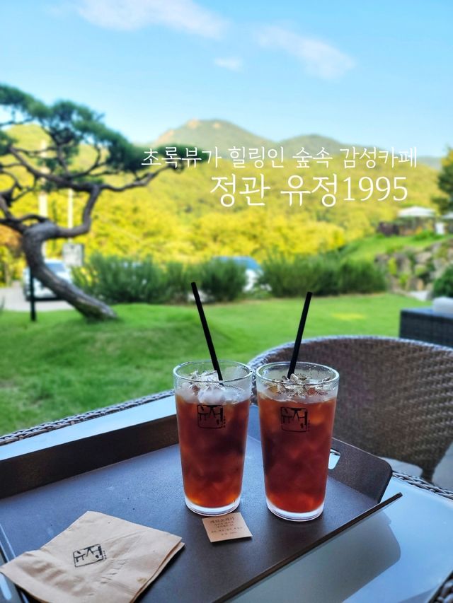 초록뷰에 황토방까지 힐링감성카페 유정1995💛