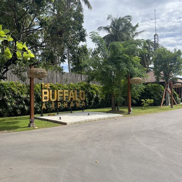 The Buffalo Amphawa