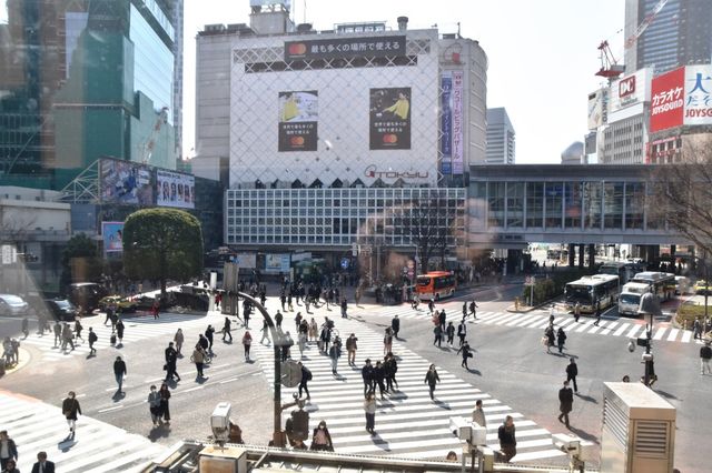 인구대국 일본을 몸으로 느끼자. 시부야 스크램블 교차로