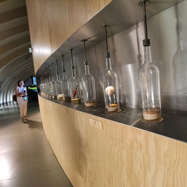 參觀波爾多葡萄酒博物館