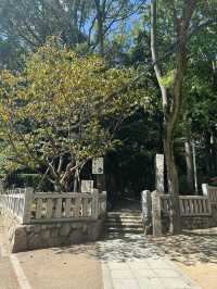 《 兵庫 ・神戸》 "縁結びの神様" 神戸三大神社⛩️生田神社