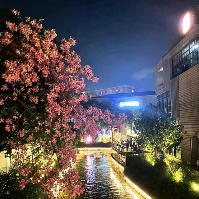 打卡輕鬆遊：歡樂海岸
