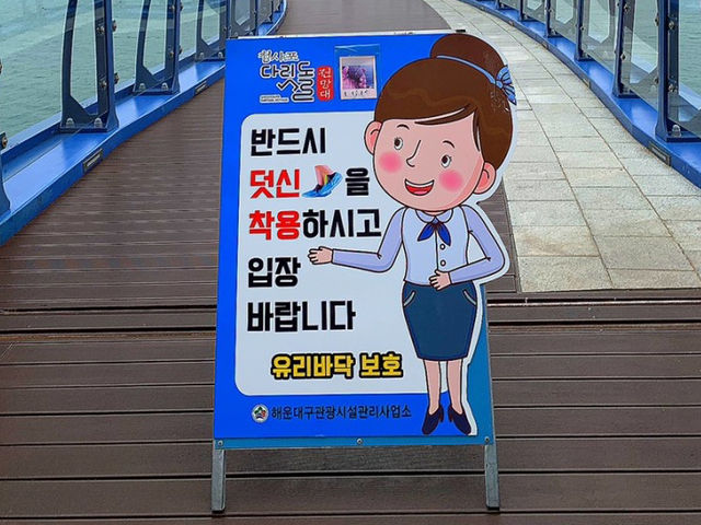 부산 청사포 투명 다리가? “청사포 다릿돌전망대”🌁