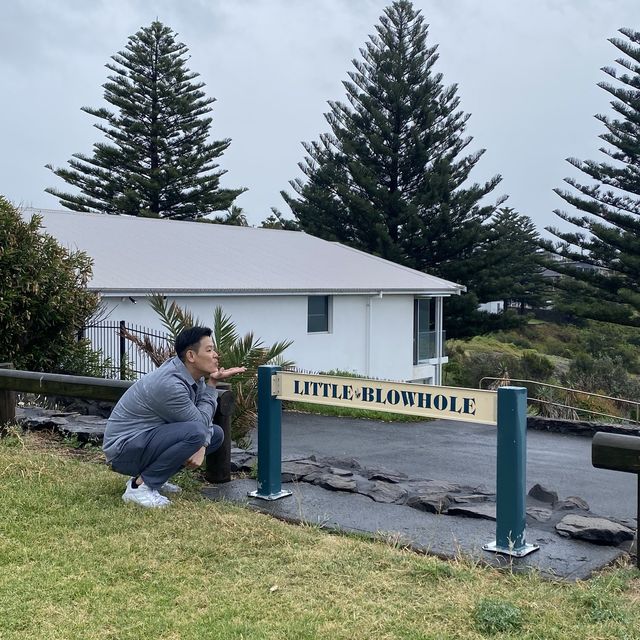 Little Blowhole, Sydney's Hidden Coastal Gem