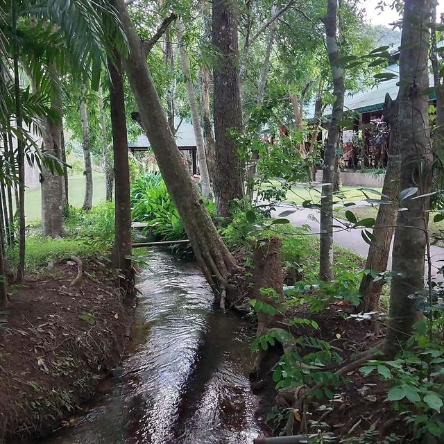 森の中の瞑想寺