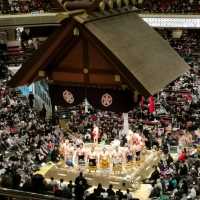 Sumo in Tokyo! 
