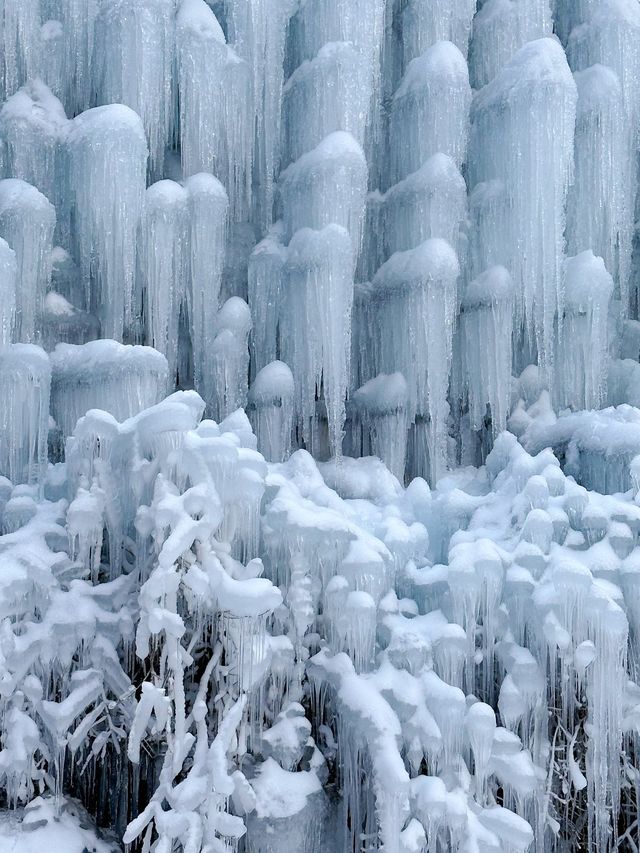 冬の風物詩－氷瀑