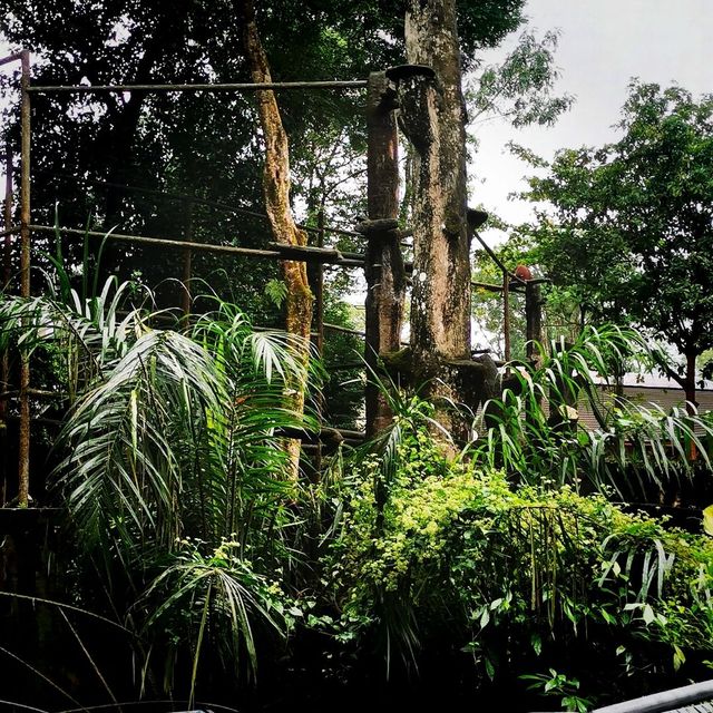 Best Zoo 🌺