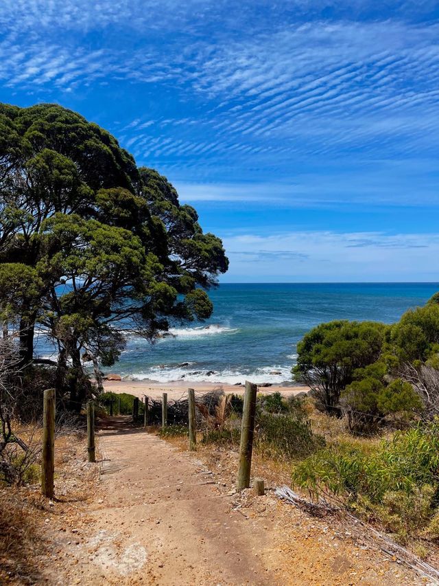 A gorgeous & romantic sightseeing beach! 😍🇦🇺