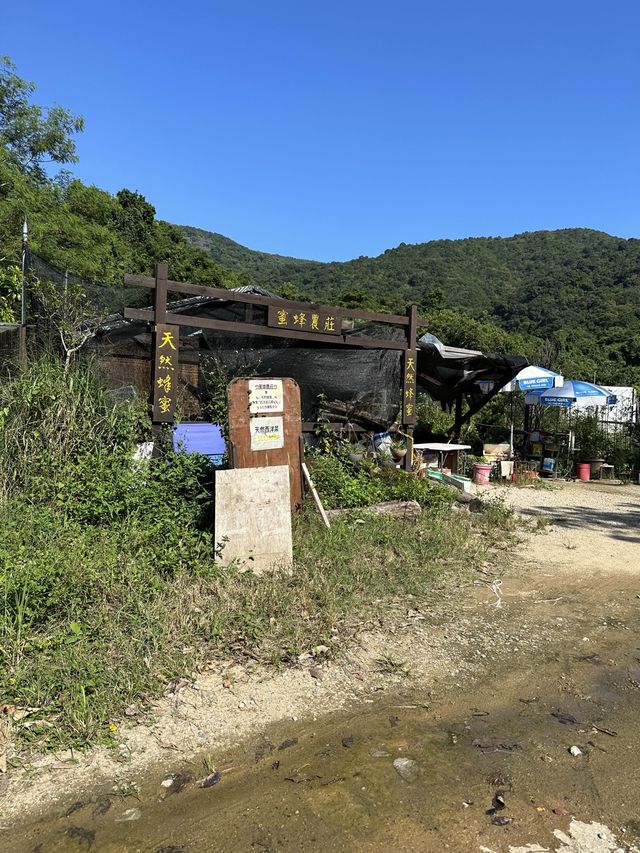馬鞍山茅坪北港古道 - 港版嵐山