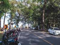 ตลาดเช้าหาดในยาง จ.ภูเก็ต🌴🌤