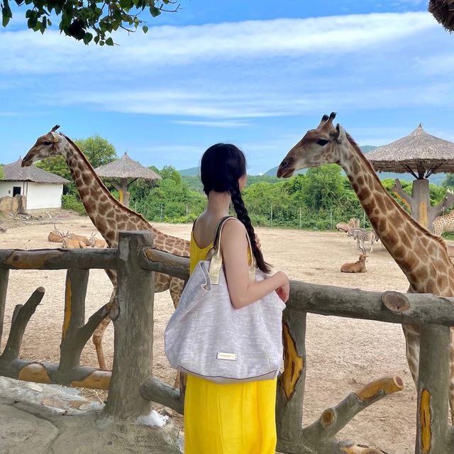 베트남의 디즈니성 빈펄랜드🇻🇳🏰