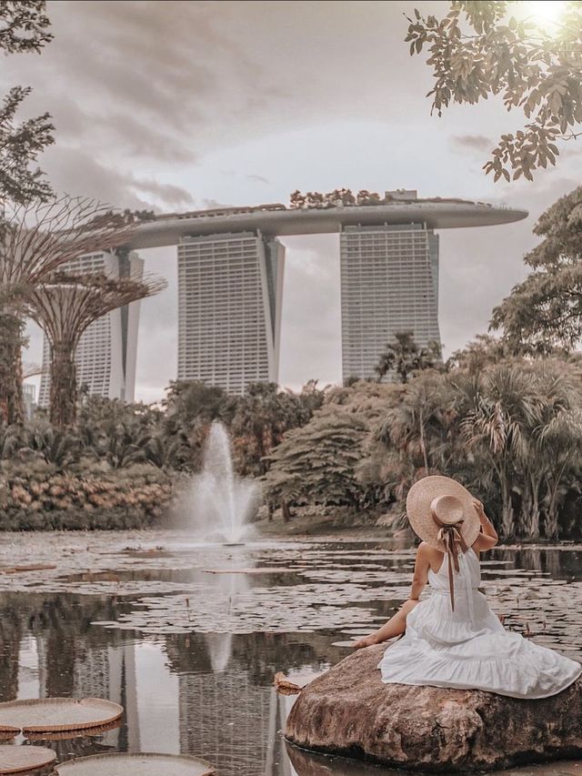 Beautiful Gardens in Singapore