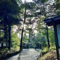 Meiji Jingu