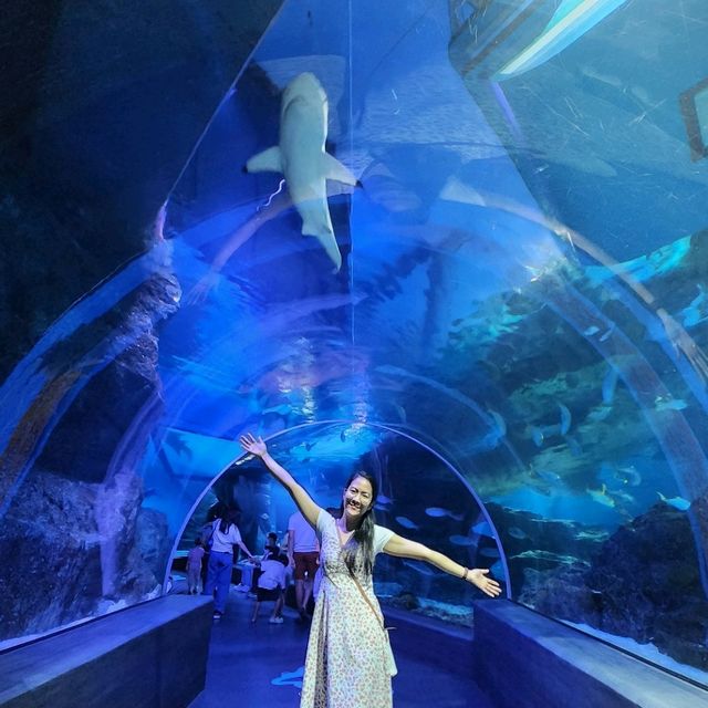 Under The Sea In Bangkok City