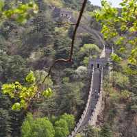 The spring color of Mutianyu Great Wall