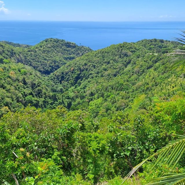 Cebu’s most spectacular natural Waterfall!