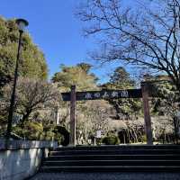 成田山新勝寺〜成田公園散歩