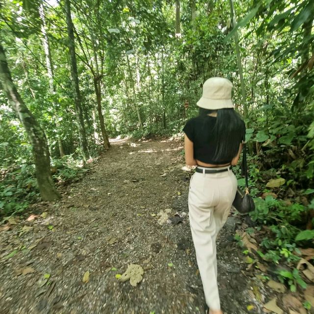ป่าต้นน้ำบ้านน้ำราด 🌿