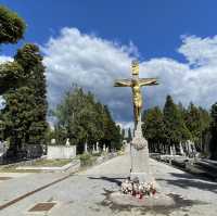 Why visiting a historical cemetery?