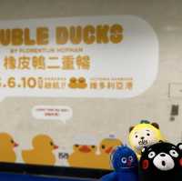四遇鴨鴨Rubber Duck🤣