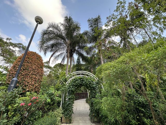 香港賞花 | 不只得荷花的城門谷公園