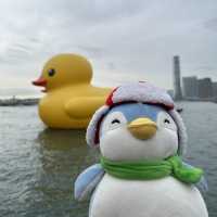Penguins meet Rubber Ducks