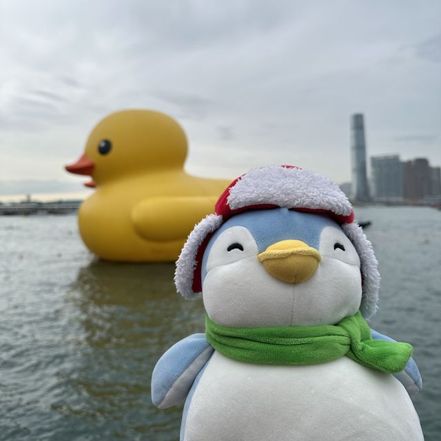 Penguins meet Rubber Ducks