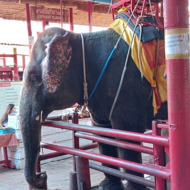 ตลาดน้ำอโยธยา