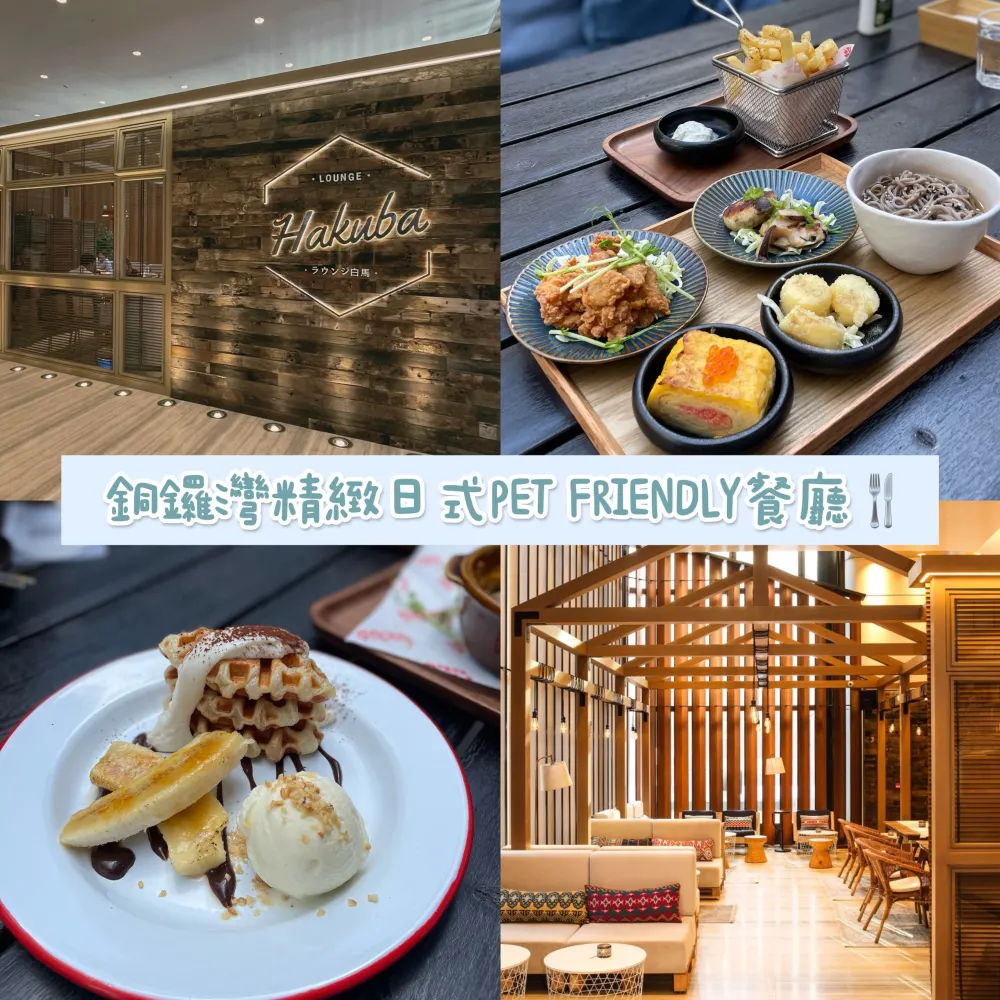 香港銅鑼灣|精緻日式pet friendly餐廳🍴🐶