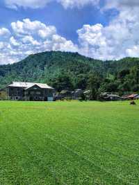  A nature retreat in Sungai Lembing