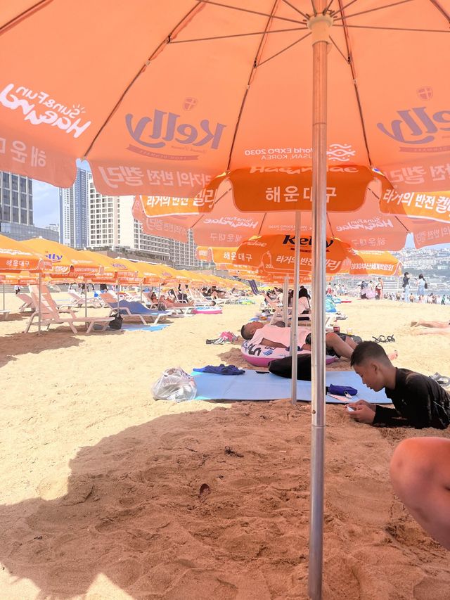 여름 휴가철 해수욕장은 역시 해운대🏖️ 여름 휴가철 해수욕장은 역시 해운대🏖️