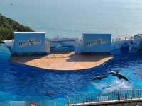 【重拾童年回憶~Ocean Park🎢】