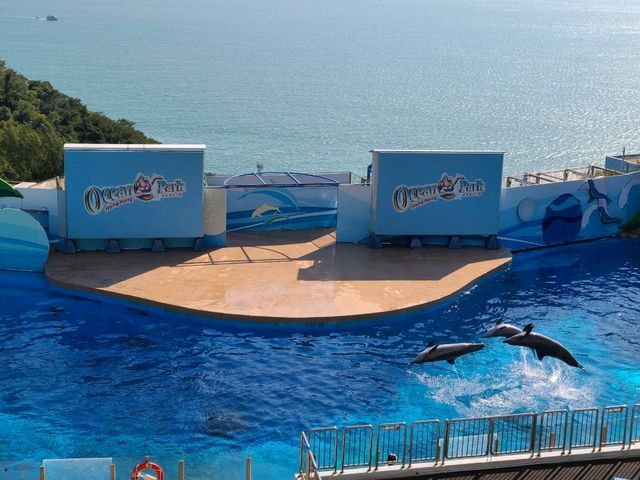 【重拾童年回憶~Ocean Park🎢】