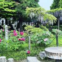 曼陀羅寺公園