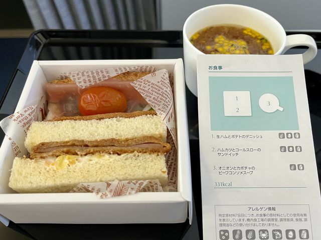 【NH】羽田→宮崎 プレミアムクラス✈️