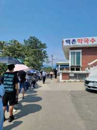 강원도 고성 막국수 원탑! 백촌막국수🍜